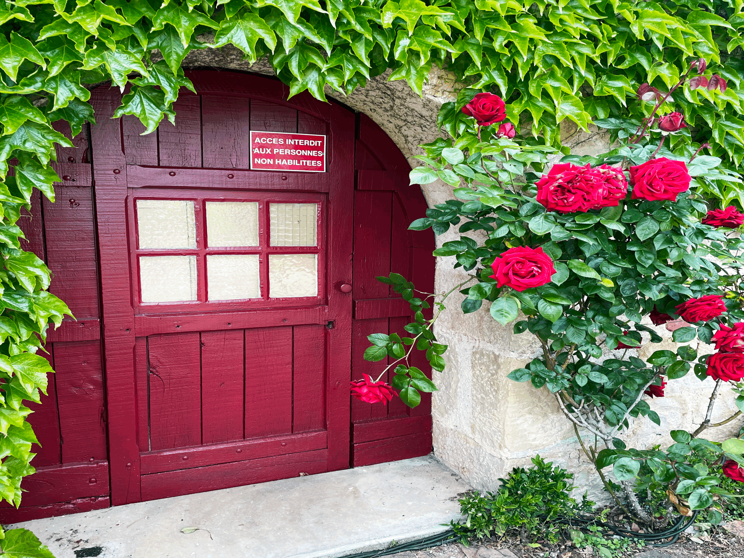 peinture-extérieure-portes-anciennes-château-turenne-corrèze-19500