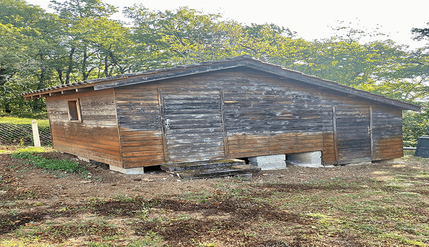 peinture-extérieure-abris-de-jardin-travaux-extérieurs-corrèze-nord-du-lot-dordogne-vallée-de-la-dordodgne-nuancea
